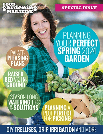 Planning Youir Perfect Spring 2024 Garden