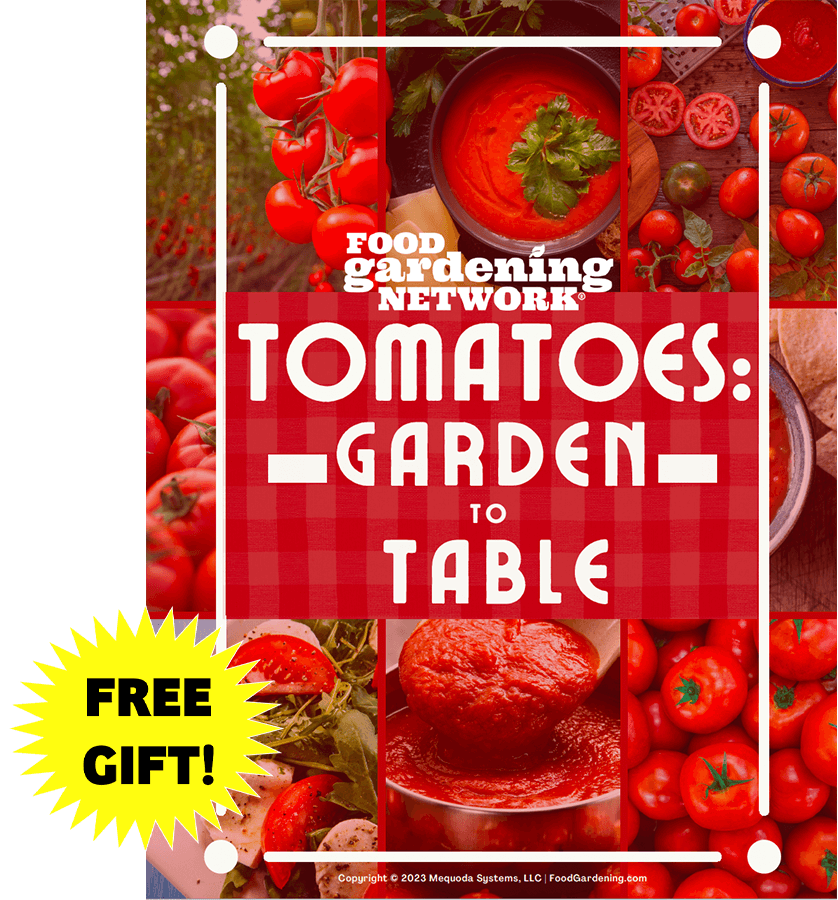 Tomatoes Garden to kitchen to Table Collection-Kit