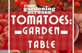 Tomato Garden-to-Table Recipe Card Kit