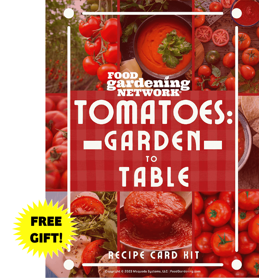 Tomatoes: Garden-to-Table Recipe Card Kit