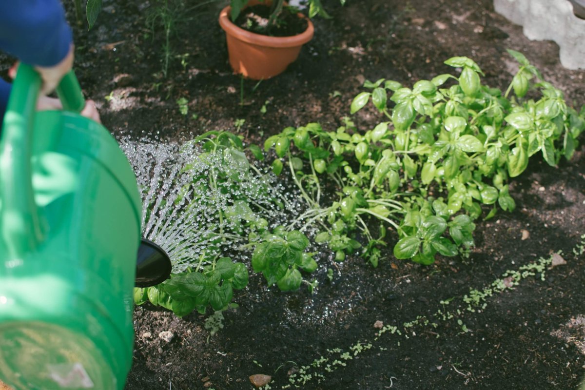 improve garden soil