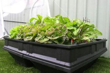 A Review of the Vegepod Raised Garden Bed