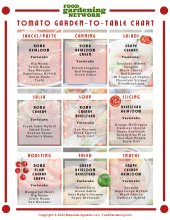 Printable Tomato Garden-to-Table Chart
