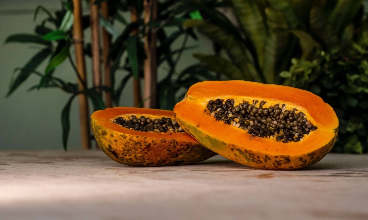 tropical fruit seeds