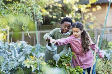 How to Start a Community Garden Program