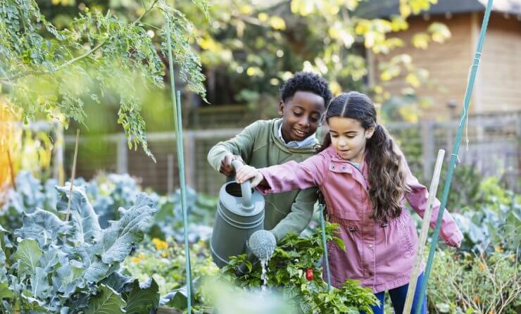 Children water plants at community garden