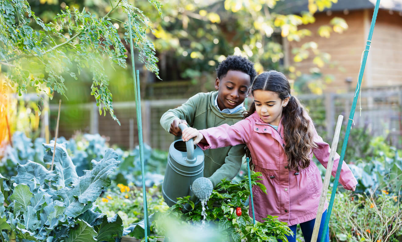 Children water plants at community garden