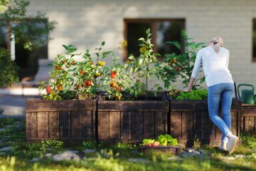 10 Ways to Make Summer Vegetable Garden Maintenance Tasks Easier