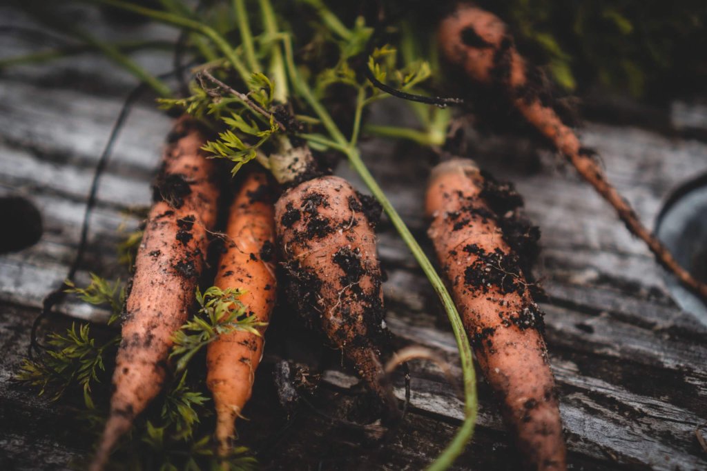 gardening journal