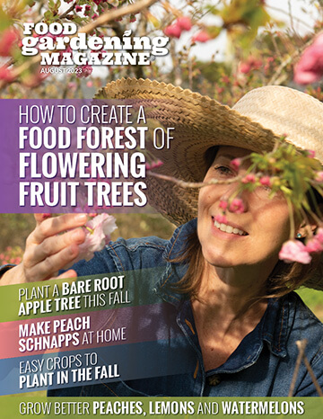 Food Gardening Magazine August 2023