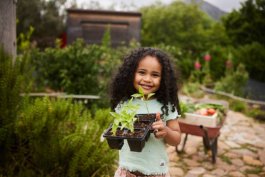 Planting Seeds of Joy: The Perfect Kids Vegetable Garden for Your Little Sprout