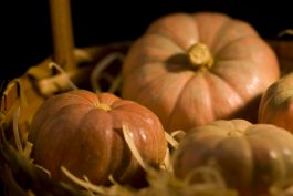 6 Tips for Storing Pumpkins