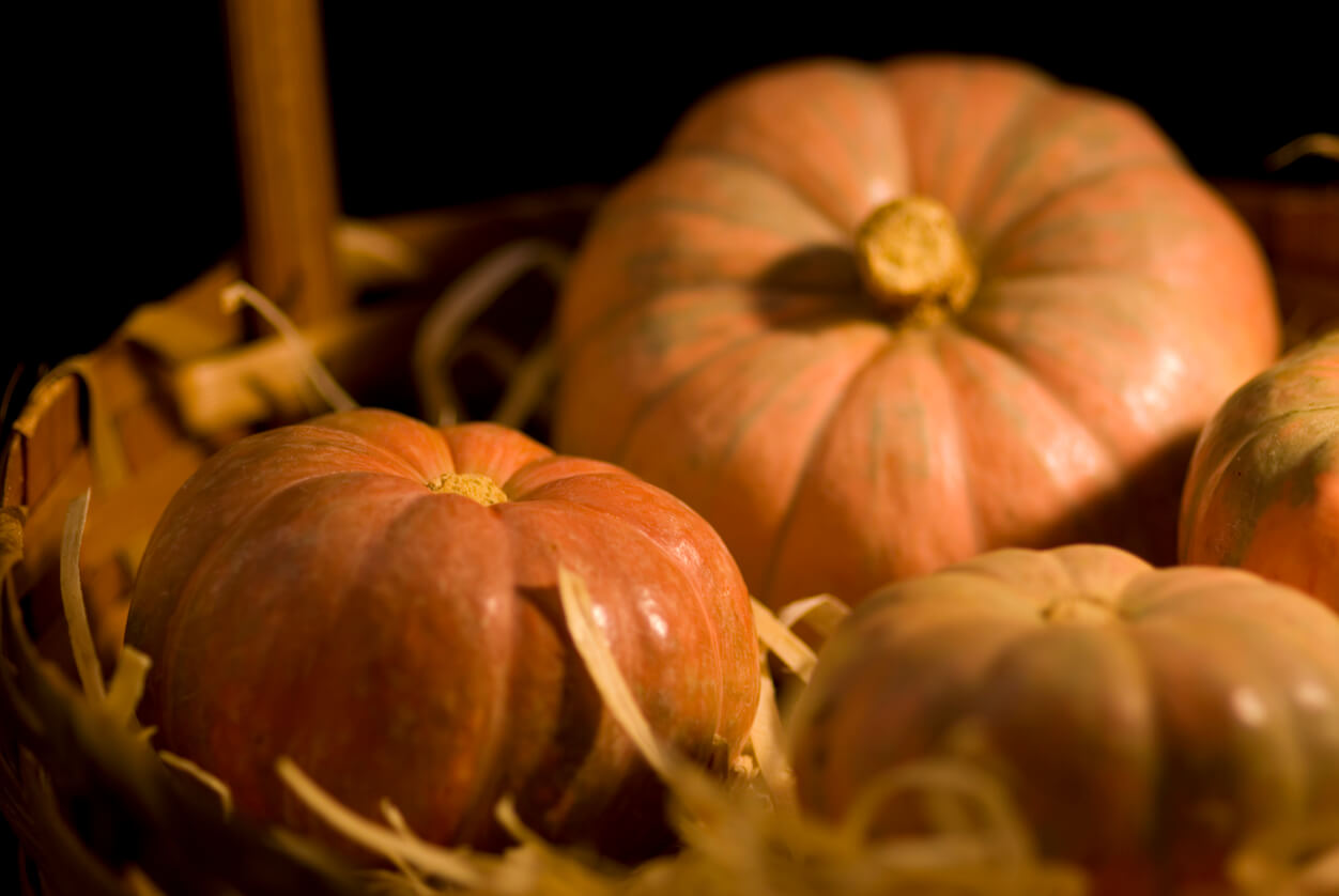 6 Tips for Storing Pumpkins Food Gardening Network