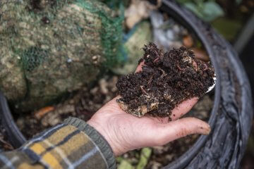 The Lowdown on the Breakdown: A History of Composting Myths and Legends