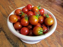 The Tomato Tango: My Love Affair with Sunchocola Tomatoes