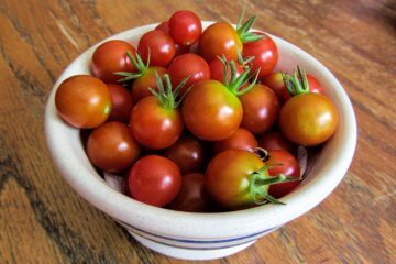 The Tomato Tango: My Love Affair with Sunchocola Tomatoes
