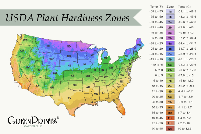 Plant Hardiness Zones