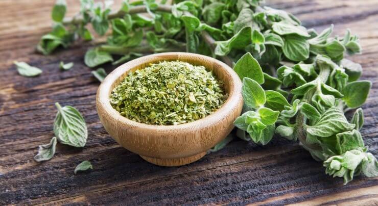 Fresh and dried oregano on wooden table