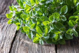 Nutrition Facts about Oregano
