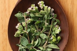 Home Remedies & Health Benefits of Oregano