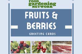 Introducing Our Enchanting New Fruits & Berries Greeting Card Crafting Kit