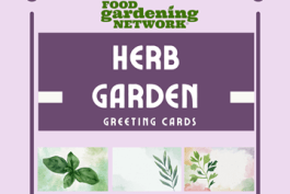 Introducing Our Enchanting New Herb Garden Greeting Card Crafting Kit