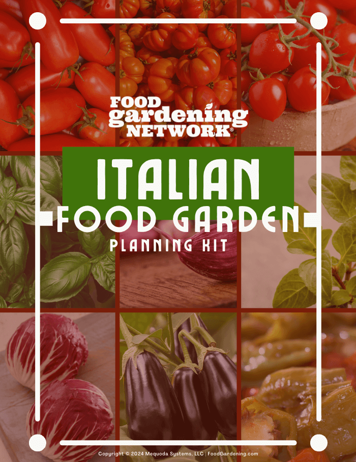 Italian Food Garden Planning Kit