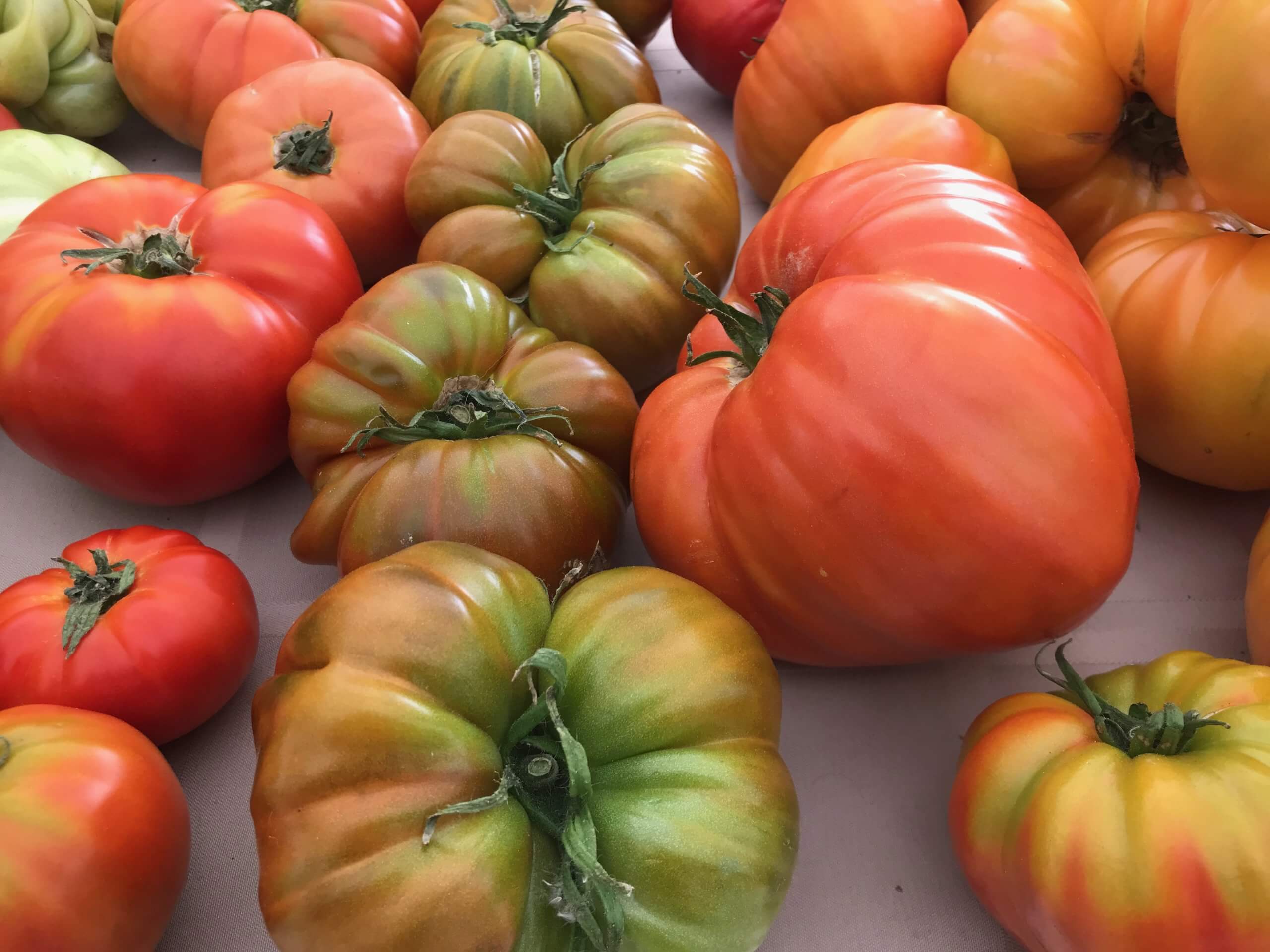 Tomatoes University District Farmer's Market
