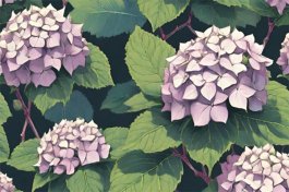 BloomStruck Bigleaf Hydrangea (Hydrangea macrophylla “PIIHM-I”)