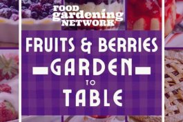 Introducing the Fruits & Berries: Garden-to-Table Recipe Card Kit