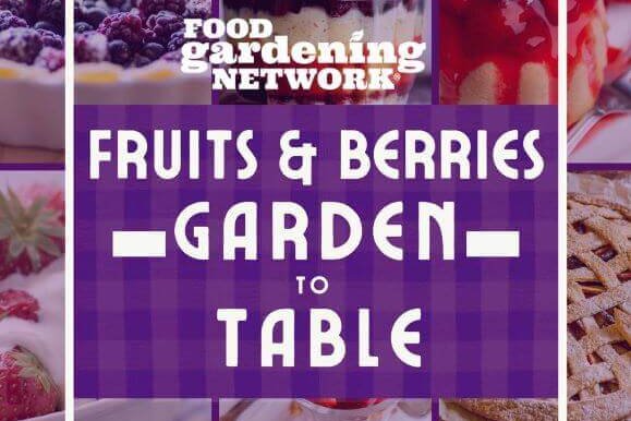 Recipe Card - Food Gardening Network