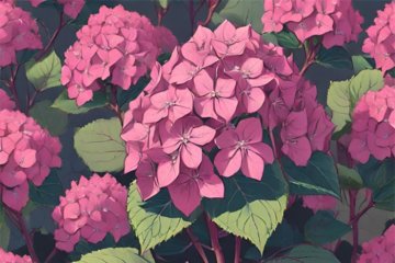 Pretty in Pink: Hydrangeas vs. the Dirt