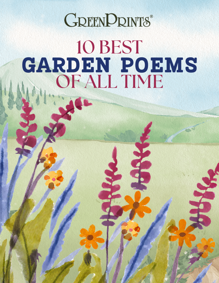 10 Best Garden Poems Of All Time - Food Gardening Network