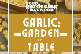 Introducing the Garlic: Garden to Table Recipe Kit