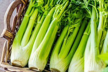 Fresh Celery in Basket