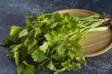 Fresh green celery in a wooden plate