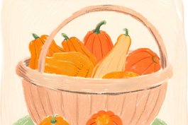 Squash—The Powerhouse of Flavor and Nutrition