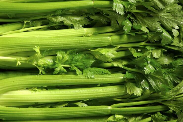 Tango celery