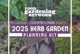 2025 Herb Garden Planning Kit-featured