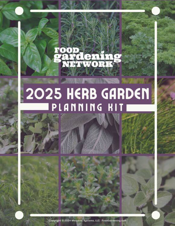 2025 Herb Garden Planning Kit