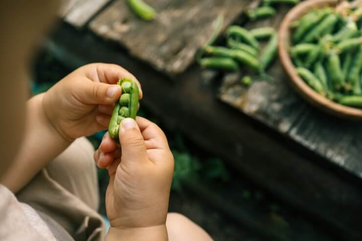 Child holding peas