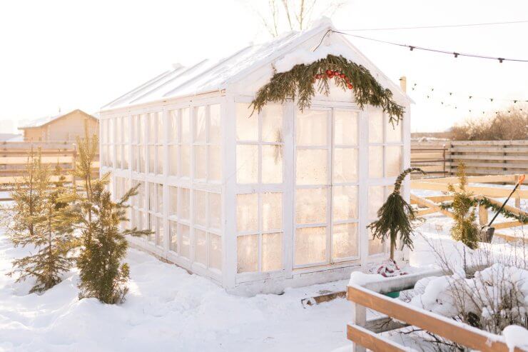 Greenhouse snow-covered