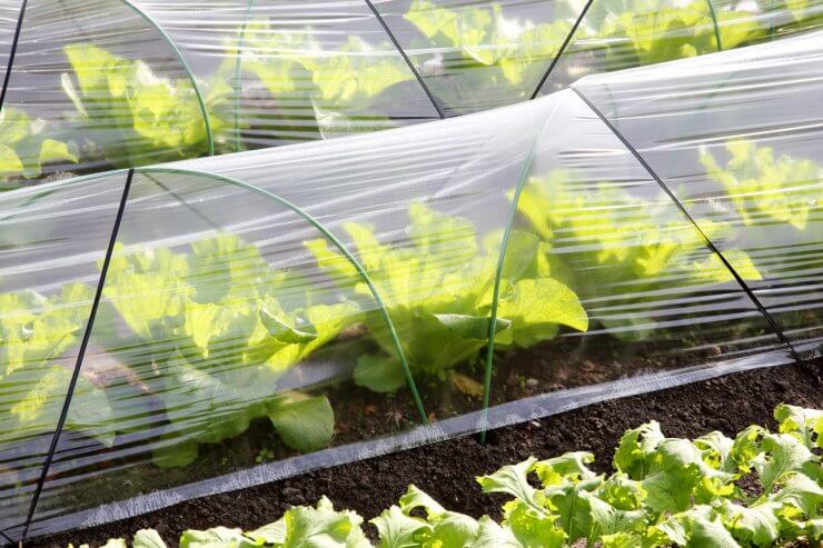 Plastic greenhouse