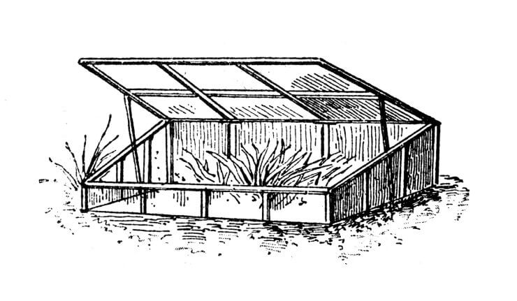 Antique illustration: garden cold frame