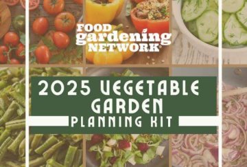 2025 Vegetable Garden Planning Kit