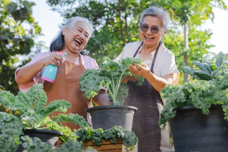 Two elderly women care for in the garden.