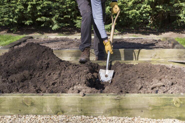 Man with Shovel