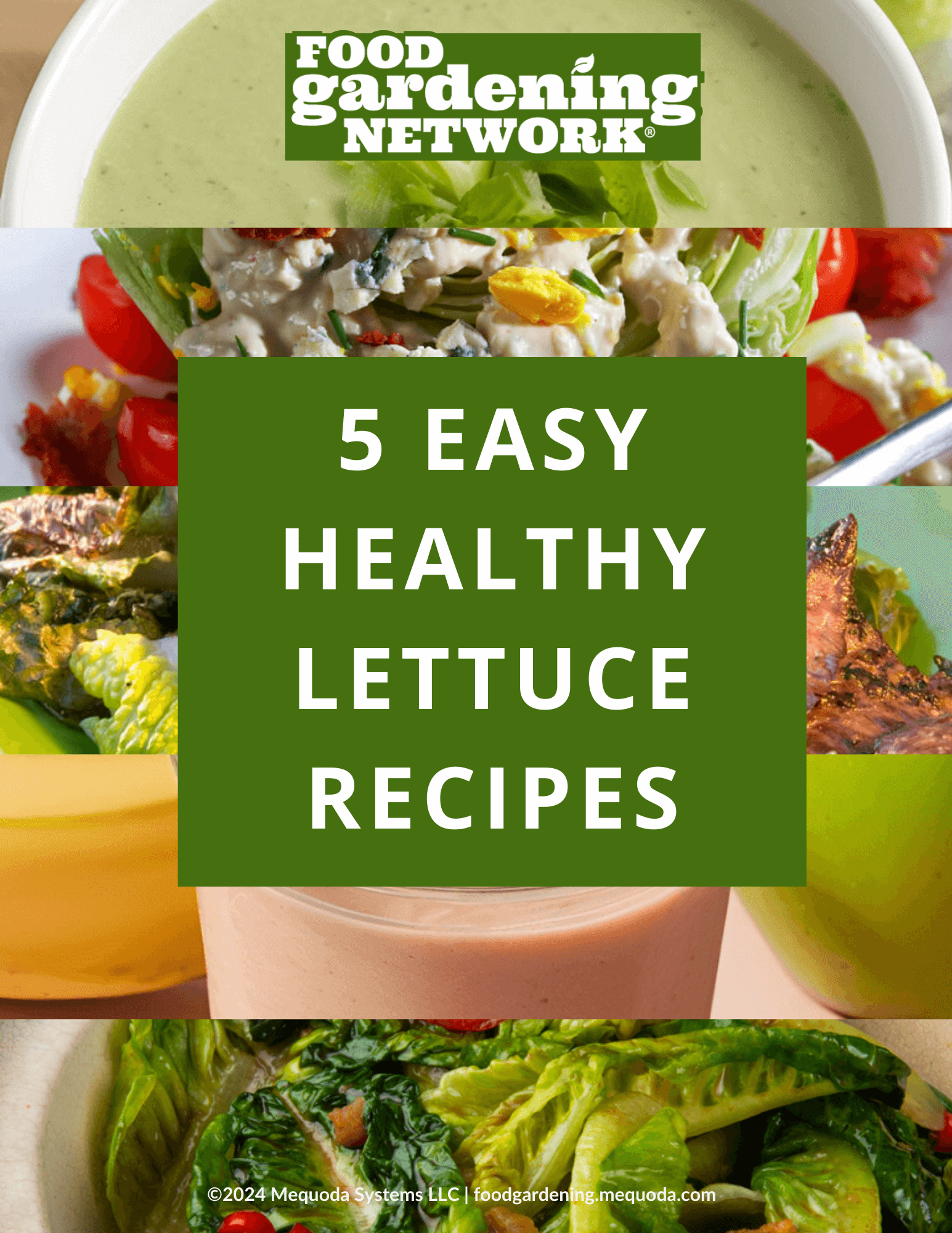 5 Easy Healthy Lettuce Recipes