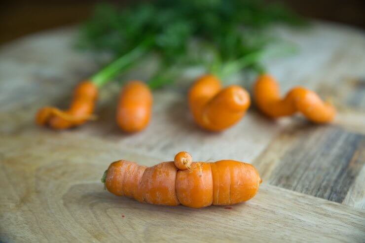 fresh baby carrots