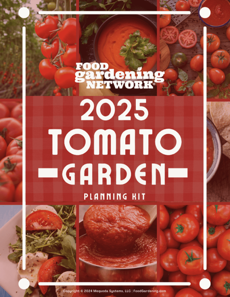 2025 Tomato Garden Planning Kit